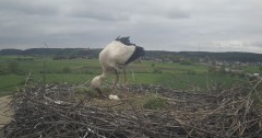IMG_6259.jpeg