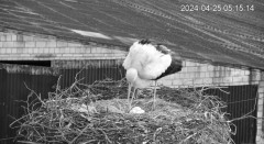IMG_6794.jpeg