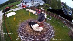 2024-04-25 23_33_30-GNIAZDO BOCIANIE PRZY OSP ŻELECHÓW - YouTube – Maxthon.jpg