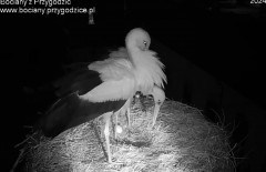 IMG_8499.jpeg