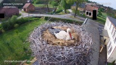 IMG_8539.jpeg