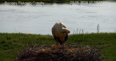 IMG_9167.jpeg