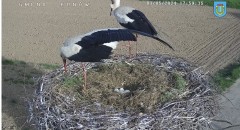 IMG_9357.jpeg
