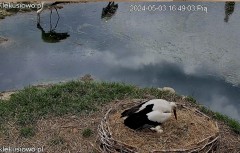 IMG_9320.jpeg