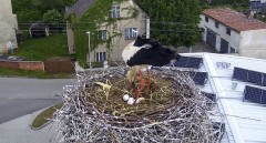 IMG_0465.jpeg