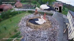 IMG_8959.jpeg