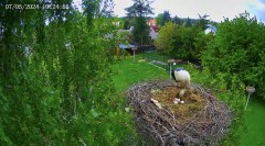 IMG_1065.jpeg