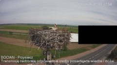 IMG_8941.jpeg