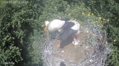 IMG_1461.jpeg