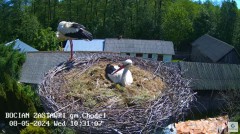 2024-05-08 21_38_44-Zastawki - Bocianie gniazdo - YouTube – Maxthon.jpg