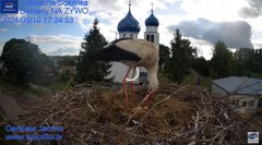 2024-05-10 20_04_09-(2) Gniazdo Bocianie - Telewizja Sokółka [NA ŻYWO] _ IP Camera_ Stork's nest [LI.jpg