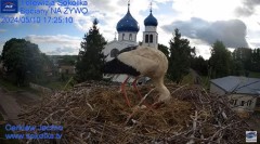 2024-05-10 20_04_31-(2) Gniazdo Bocianie - Telewizja Sokółka [NA ŻYWO] _ IP Camera_ Stork's nest [LI.jpg