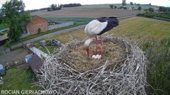 2024-05-10 20_24_29-(2) Bocian Gierłachowo - YouTube – Maxthon.jpg