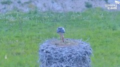 IMG_2924.jpeg