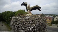 IMG_3078.jpeg