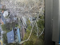IMG_6239.jpeg
