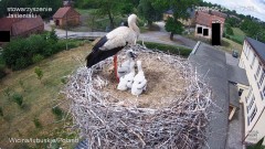 IMG_1350.jpeg