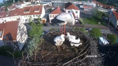 IMG_1440.jpeg
