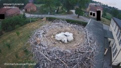IMG_1583.jpeg