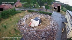 IMG_1750.jpeg