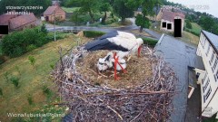 IMG_1756.jpeg