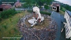 IMG_1768.jpeg