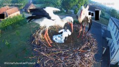 IMG_1796.jpeg