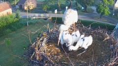 IMG_1798.jpeg