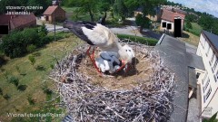 IMG_1884.jpeg