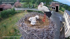 IMG_1957.jpeg