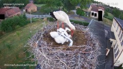 IMG_1974.jpeg