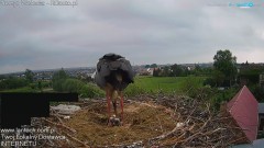 20240525_094743.jpg