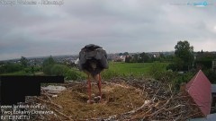 20240525_094753.jpg
