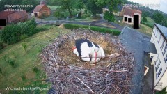 IMG_2161.jpeg