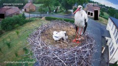 IMG_2165.jpeg