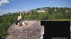 2024-05-26 21_20_28-Biecz gniazdo bocianów - YouTube – Maxthon.jpg