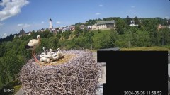 2024-05-26 21_20_55-Biecz gniazdo bocianów - YouTube – Maxthon.jpg