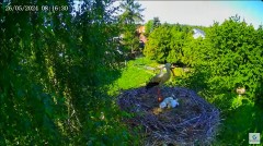 MWSnap 2024-05-26, 15_25_03.jpg