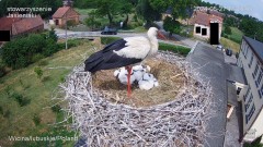 IMG_2341.jpeg