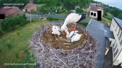 IMG_2445.jpeg