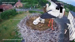 IMG_2461.jpeg