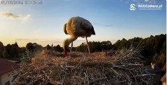 IMG_5669.jpeg