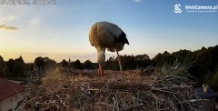 IMG_5677.jpeg