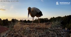 IMG_5690.jpeg