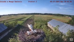 2024-05-27 21_53_31-Bociany w Nowym Kamieniu kam.3 - YouTube – Maxthon.jpg