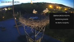 2024-05-28 00_09_18-[stimotion.pl] Bociany w Skołyszynie - YouTube – Maxthon.jpg