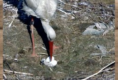 IMG_1856.jpeg