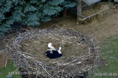 IMG_5741.jpeg