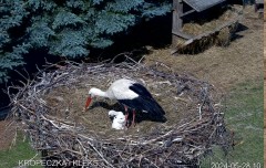 IMG_5780.jpeg