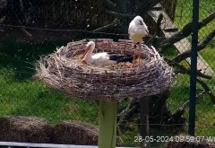 IMG_5765.jpeg